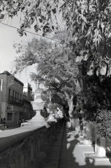 Jardín de san Marcos