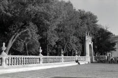 Jardín de san Marcos