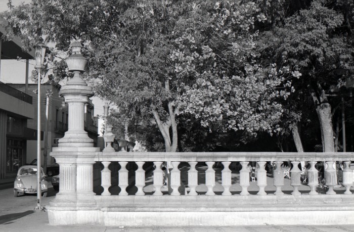 Jardín de san Marcos