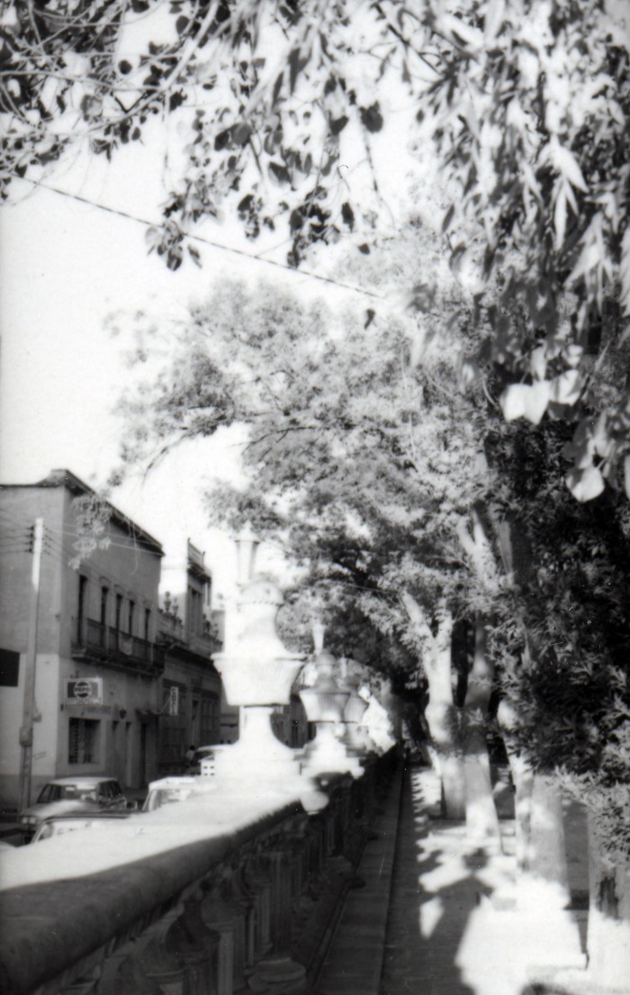 Jardín de san Marcos