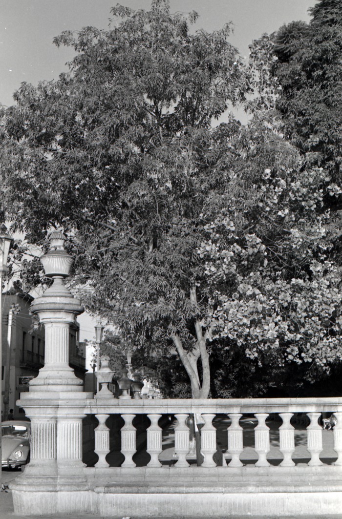 Jardín de san Marcos