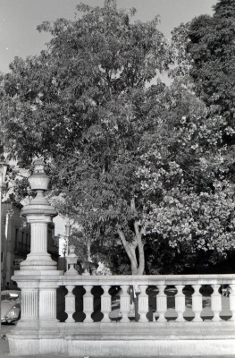 Jardín de san Marcos