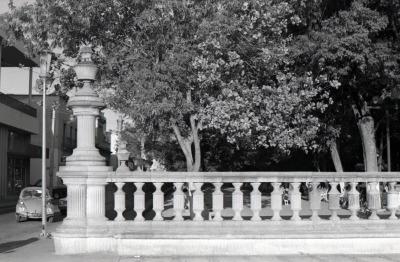 Jardín de san Marcos