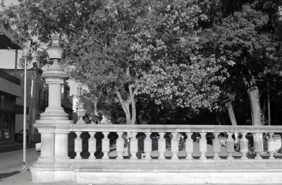 Jardín de san Marcos