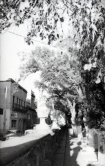 Jardín de san Marcos