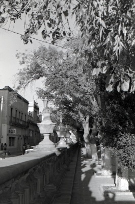 Jardín de san Marcos