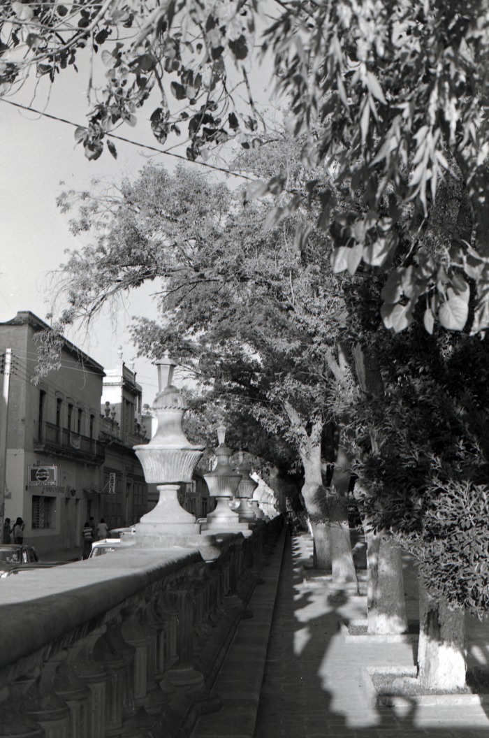 Jardín de san Marcos