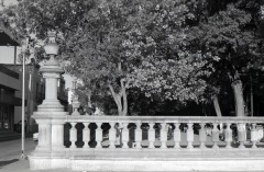 Jardín de san Marcos