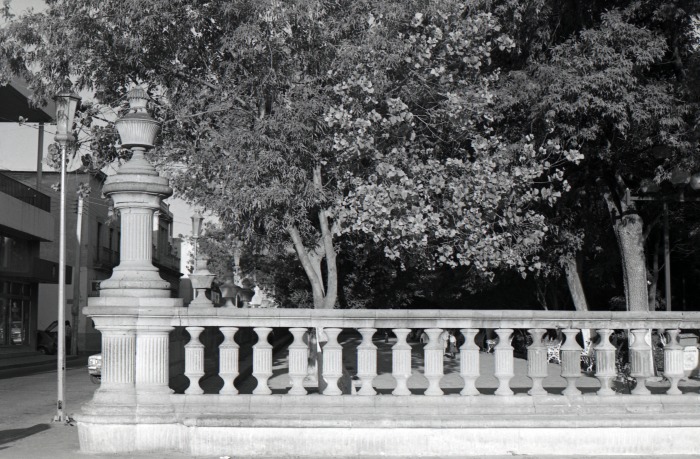 Jardín de san Marcos