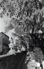 Jardín de san Marcos