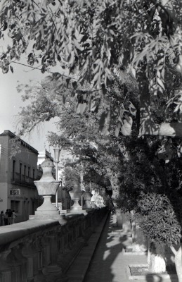 Jardín de san Marcos