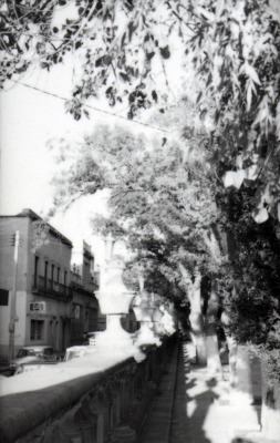 Jardín de san Marcos
