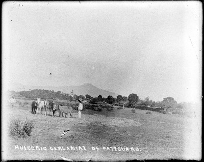 Huicorio cercanías de Pátzcuaro