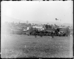 Morelia