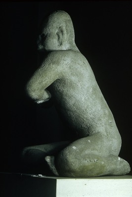 El luchador