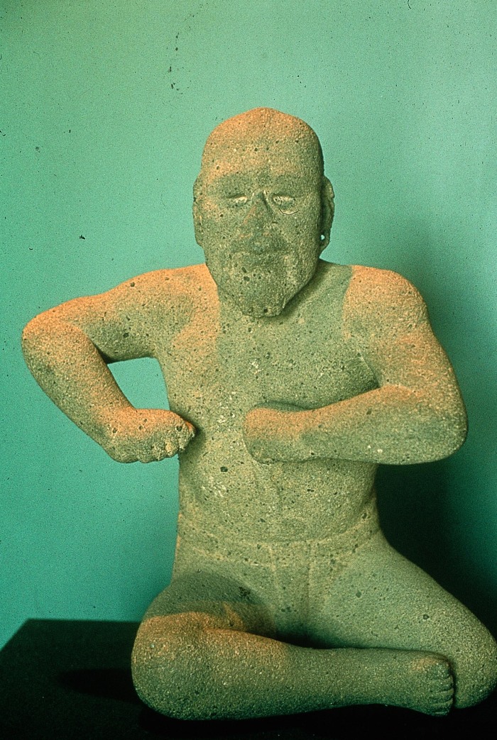 El luchador