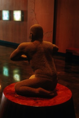 El luchador
