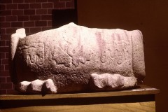 MONUMENTO 9, AVE ACUATICA