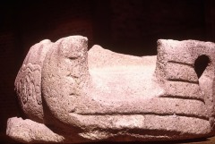 MONUMENTO 9, AVE ACUATICA