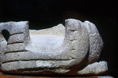 MONUMENTO 9, AVE ACUATICA