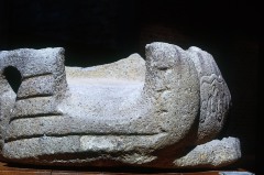 MONUMENTO 9, AVE ACUATICA