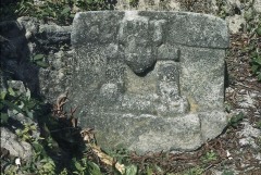 ALTAR 6