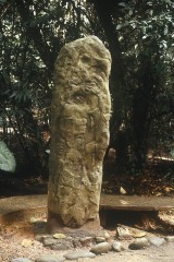 ESTELA 63