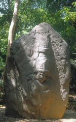 ESTELA 2
