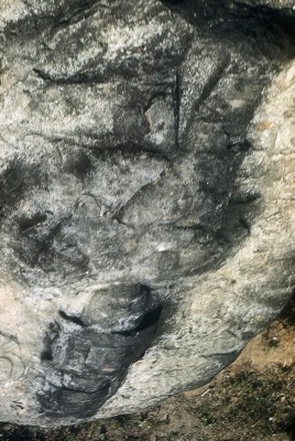 ESTELA 2