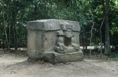 ALTAR 6