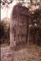 ESTELA 1