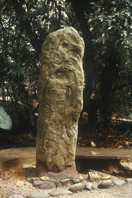 ESTELA 63