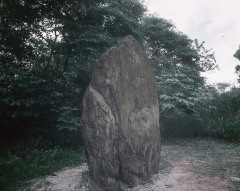 ESTELA 2