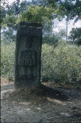 ESTELA 1
