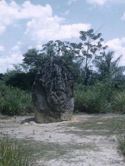 ESTELA 2