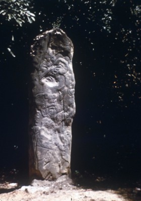 ESTELA 63