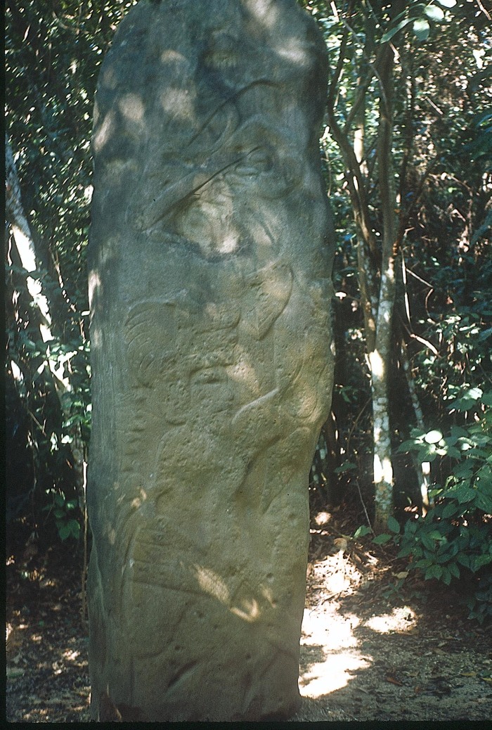 ESTELA 63