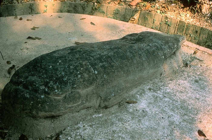 MONUMENTO 20, CETACEO
