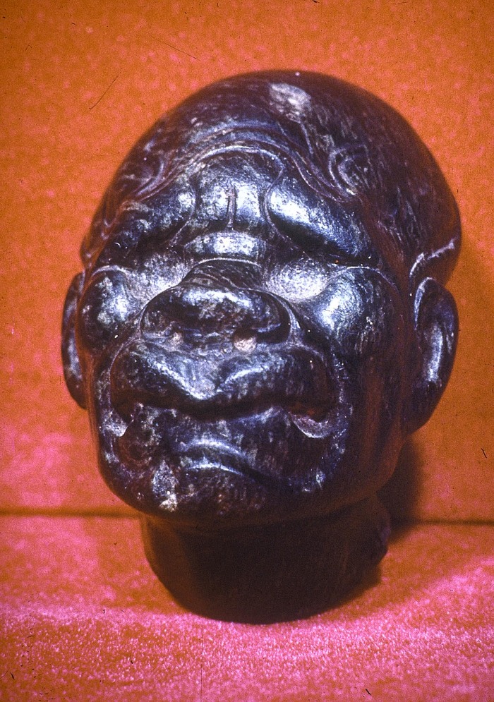 CABEZA DE ANCIANO
