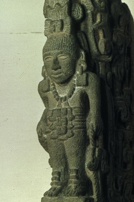 PALMA CON FIGURA ANTROPOMORFA