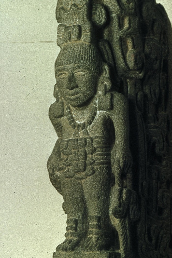 PALMA CON FIGURA ANTROPOMORFA