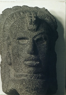 PALMA CON FIGURA ANTROPOMORFA