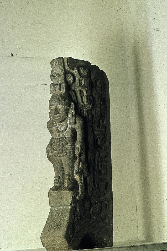 PALMA CON FIGURA ANTROPOMORFA