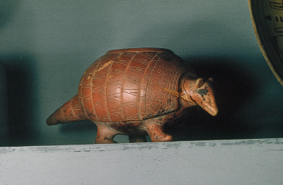 ARMADILLO