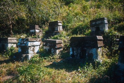 TEMPLO MINIATURA