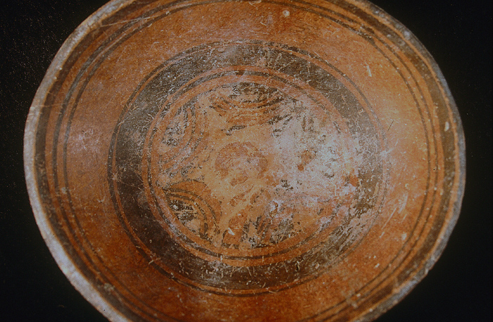 PLATO DEL TIPO CERAMICO TABUCO