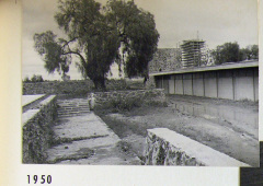 Alberca Olímpica Universitaria 