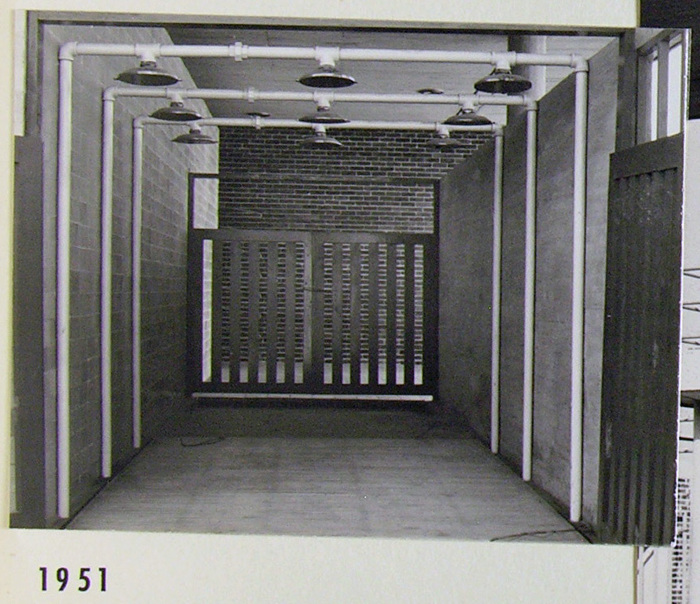 Alberca Olímpica Universitaria 