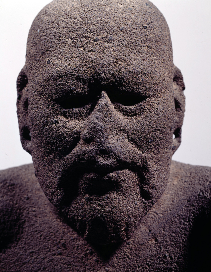 El luchador