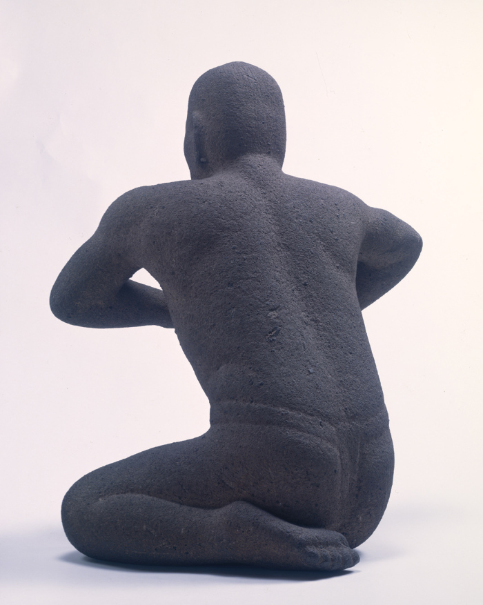 El luchador